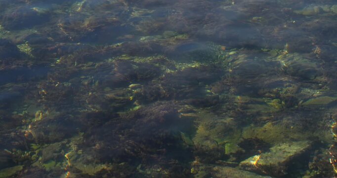 Close up of the water in a sea coast