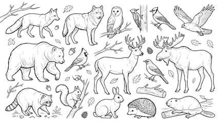 Fototapeta premium Vintage forest animals line art collection, hand drawn woodland wildlife vector set, black and white nature sketches for coloring books and rustic decor