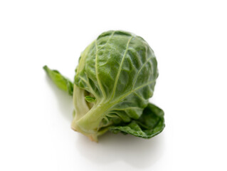 Fototapeta premium Fresh brussels sprout showcasing vibrant green leaves on a clean white background