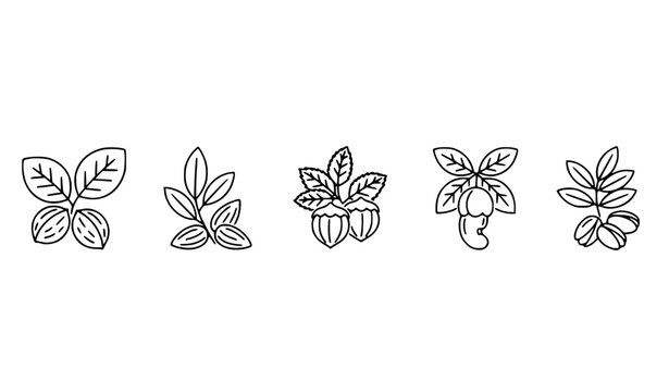 Black and white minimal nut tree line art vector collection isolated on white background
