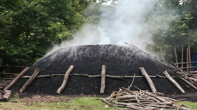 Thick white smoke rising from a traditional earth kiln covered with logs and soil, used for the slow carbonization process of making wood charcoal in a dense forest.