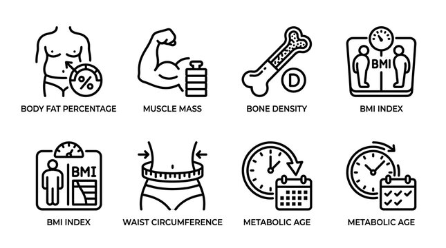 Health and Body Composition Measurement Line Icon Set