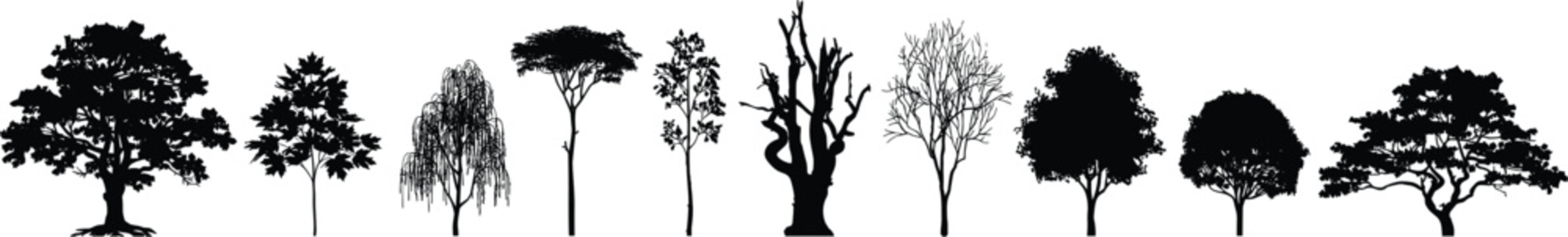 Nature Tree Icon Set with Oak, Pine, Bonsai, Lotus, Wreath and Root System Symbols for Eco Botanical Design