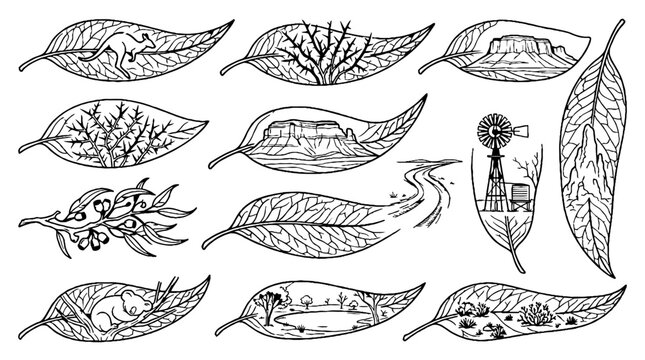 Australian Outback Landscapes and Wildlife Hand Drawn Illustrations Inside Eucalyptus Leaves.