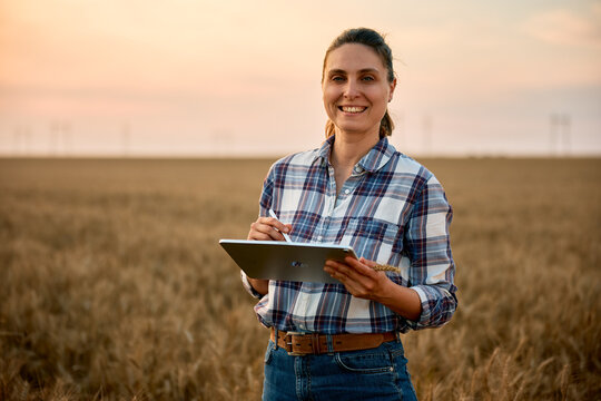 Female farmer using tablet in a wheat field