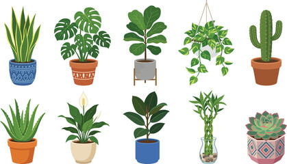 Fototapeta premium Illustration of Collection of various potted plants and succulents in colorful pots for home decor.
