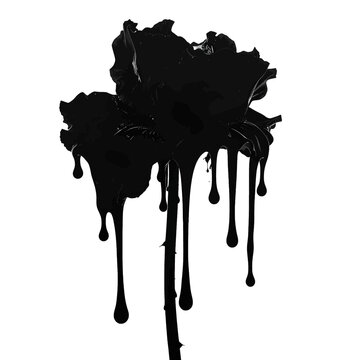 A black rose with dripping liquid on a white background