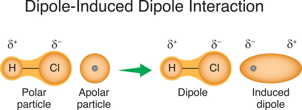 Dipole-induced dipole interaction is an intermolecular attractive force that occurs between a polar (molecule with a permanent dipole) and a nonpolar (molecule without a permanent dipole). Intermolecu