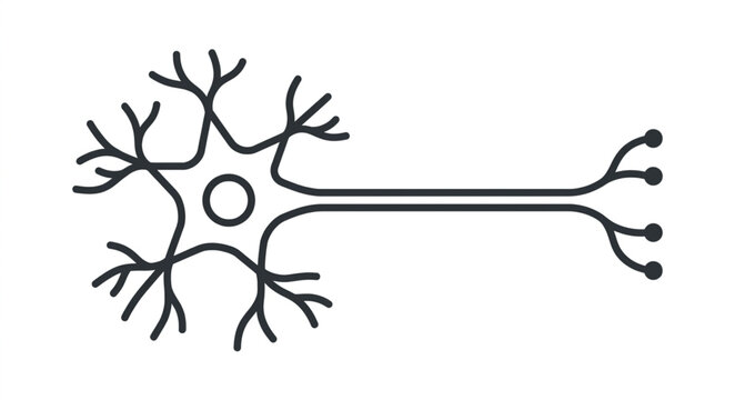 Illustration of a single biological neuron cell body with dendrites and axon.