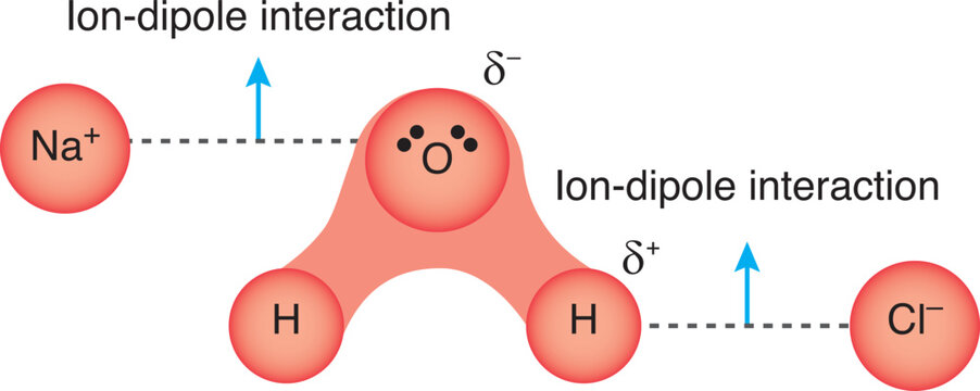 lon-dipole interaction is the attractive force that occurs between an ion and a polar molecule. 