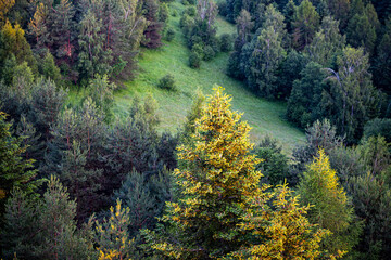 Wschód Słońca, Beskid Sądecki © Maciej G. Szling