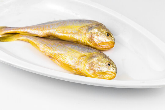 Fresh yellow croaker fish on white plate