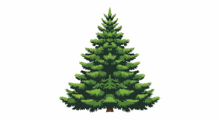 Fototapeta premium Evergreen fir tree standing tall with layered branches