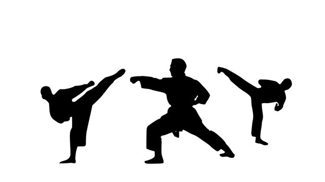 vector silhouettes of people karate