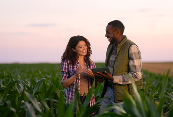 Two farmers stand in a corn field during sunset. They look happy while checking a tablet. The green plants surround them as they share information about the crops. © Videophilia