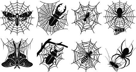 Fototapeta premium Spooky Halloween cobweb collection featuring spider silhouettes trapping insects beetles fly bee and deaths head moth design elements