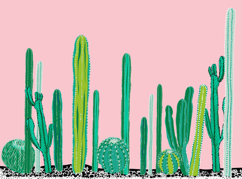 Summer Cactus Wallpaper Background