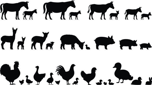 Farm animals silhouettes, baby animals vector, livestock icons, poultry illustration, rural life drawing, educational farm chart, cad drawing flat vector illustration