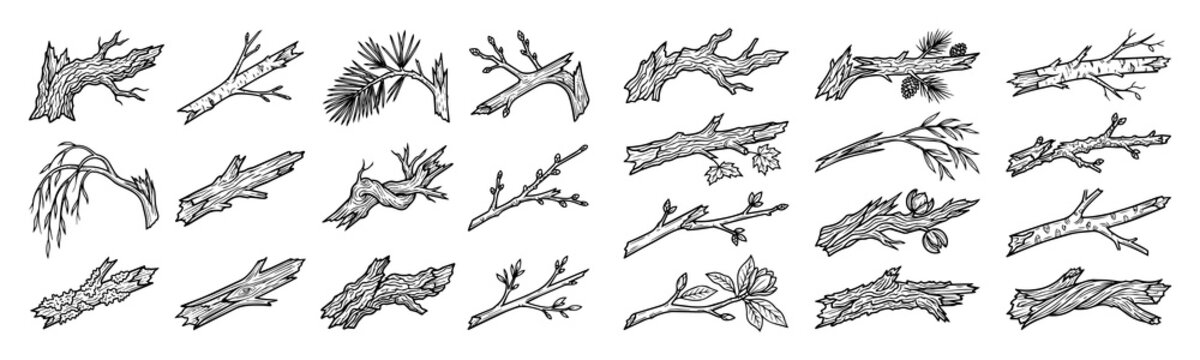 Tree branches and logs collection in hand drawn sketch style featuring various wood textures twigs and bark details isolated on white background set.