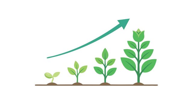 Plants growth chart showing four stages of development with green arrow