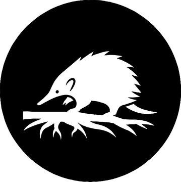 White echidna silhouette on a branch.