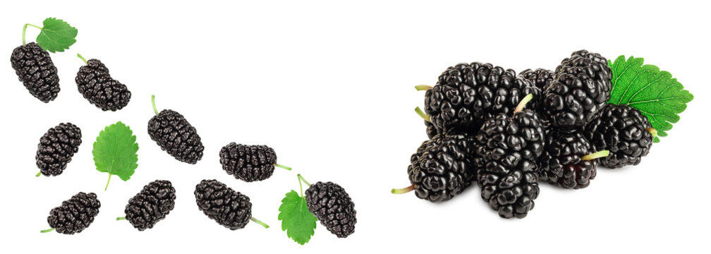 Mulberry with leaf isolated on white background with copy space for your text. Top view. Flat lay