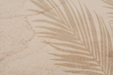Sand texture surface with soft tropical palm leaf shadow,sunlight.Natural ripples of warm beach summer aesthetic,Top view tropical sea sand for summer vibes,travel branding, spa organic product mockup © Anchalee