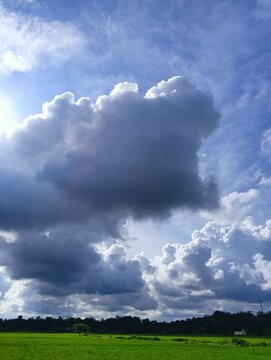 Dramatic massive dark cumulus clouds towering over a vibrant green rice paddy field in the countryside