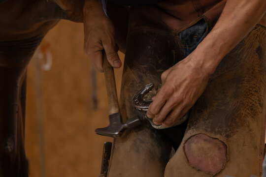 Farrier Fitting Horseshoe on Horse Hoof Close Up