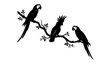Tropical Parrot Silhouettes Vector Two Macaws and Cockatoo Perched on Tree Branch © MDShahinuddin