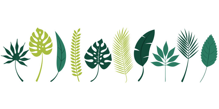 A flat-design vector illustration featuring 10 stylized tropical and botanical leaves arranged in a horizontal row on a white background. The leaves vary in shape including monstera, palm, banana.