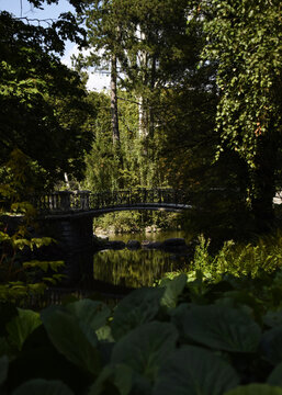 Romantic Footbridge Surrounded by Lush Greenery in Ujazdowski Park Warsaw Poland