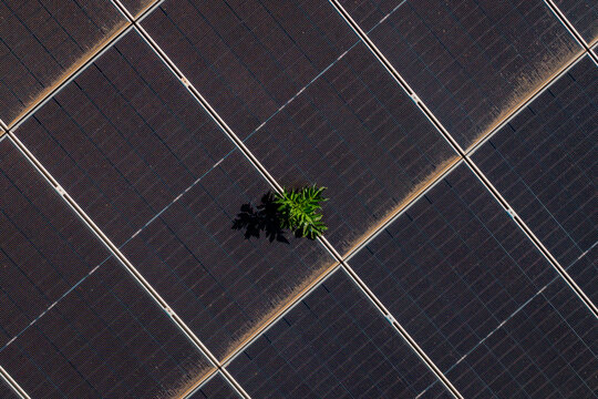 Aerial view of a small green plant growing between dark solar panels in a large solar farm in Saint-Denis-de-l'Hotel, Centre-Val de Loire, France.