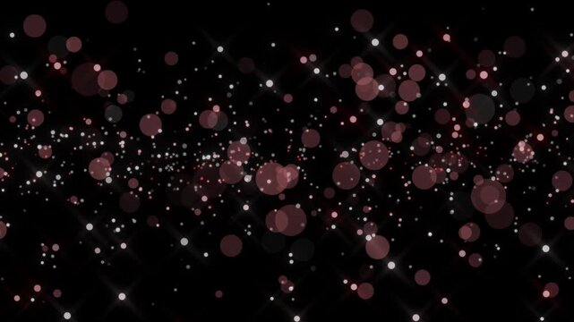 丸とキラキラ星 赤 パターン01-b ループ 5秒（透過背景）