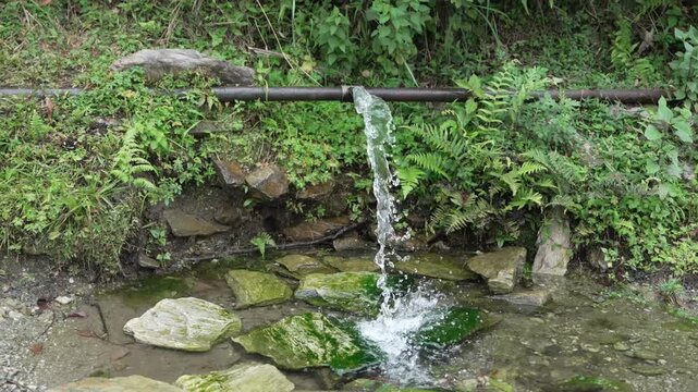 Fresh spring water flowing from a rustic pipe onto mossy rocks