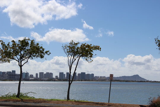 Honolulu Skyline and Diamond Head View