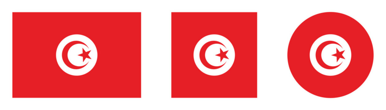 Tunisia flag icon with rectangle square and circle vector illustration