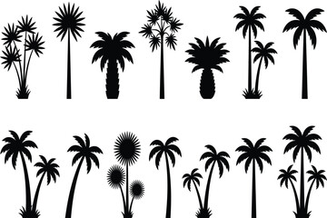 Naklejka premium Palm tree silhouettes on a white background a tropical botanical illustration