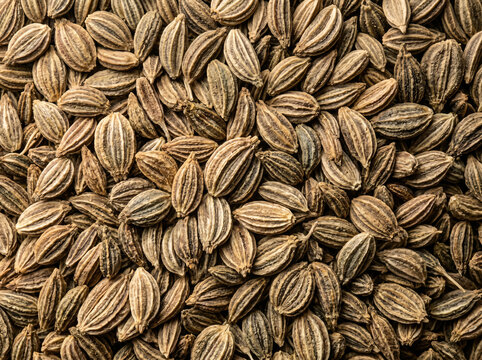 Ajwain (Carom Seeds)