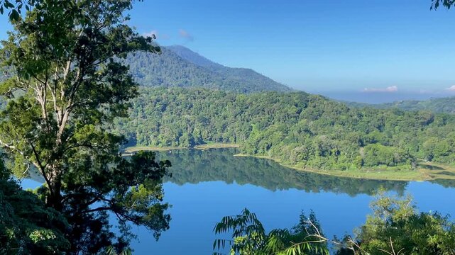 Tranquil Mountain Lake Reflection and Green Forest in Bali
