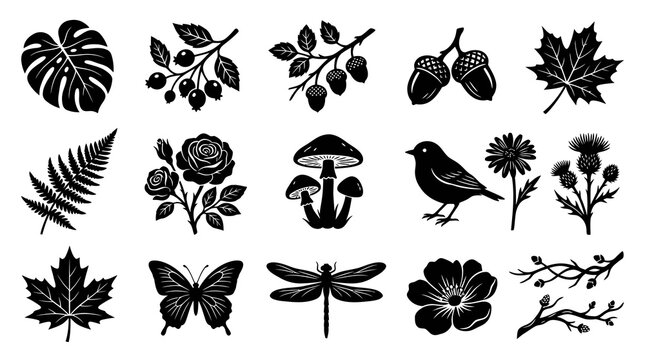 Nature and Botanical Silhouette Icons Set: Black and White Plants, Flowers, Leaves, Insects, Bird Glyphs