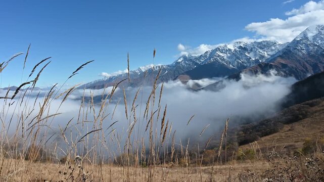 The stunning landscape with dry grass in the foreground offers a view of a valley filled with swirling clouds and impressive snow-capped peaks under a bright blue sky.
