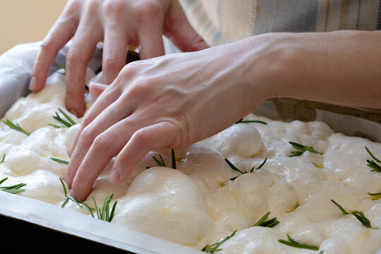 Unrecognizable female's hands gently pressing down on soft, risen dough in a baking tray. Fresh rosemary is placed on top as the baker prepares to create focaccia. Traditional bread making