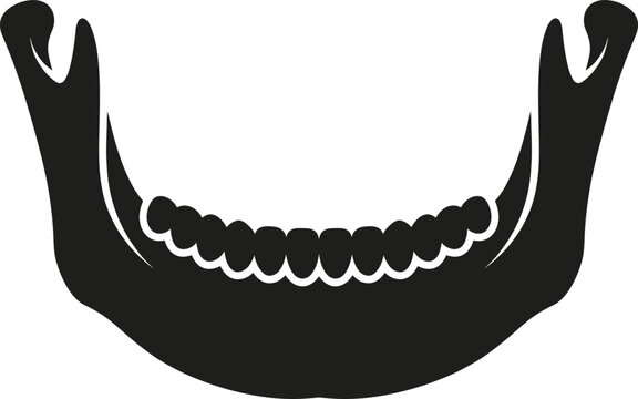 Human Lower Jaw Silhouette Illustration with Teeth Structure for Dental and Medical Concepts