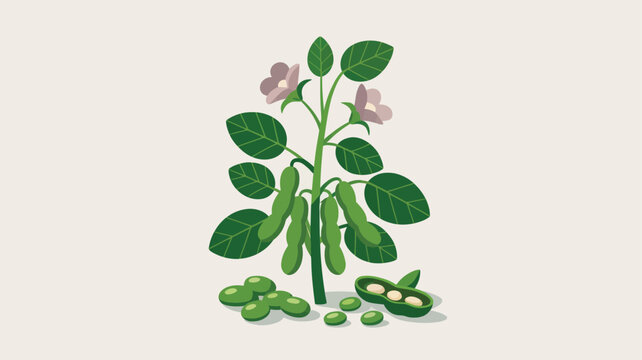Detailed illustration of soybean plant showing green pods, individual beans, and delicate purple flowers
