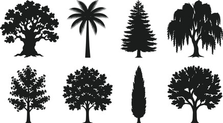 Tree Silhouette Collection Set with Palm Pine Cypress and Deciduous Trees © Md Ohidul