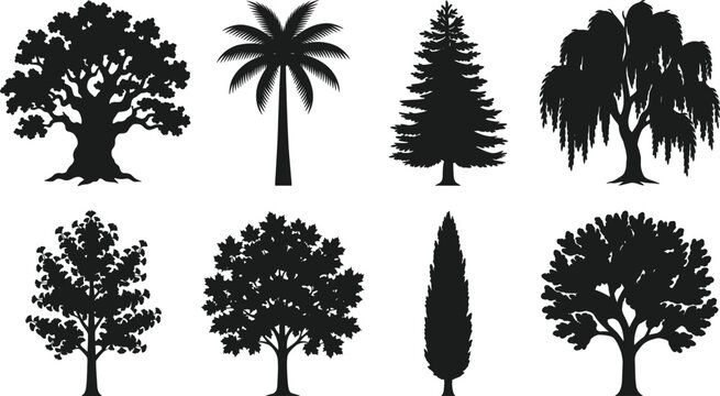 Tree Silhouette Collection Set with Palm Pine Cypress and Deciduous Trees