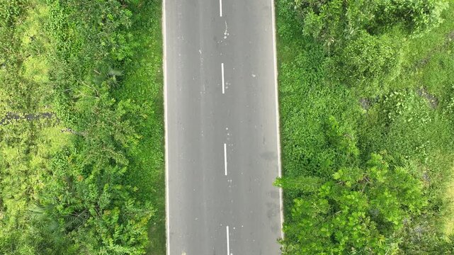 Aerial view of auto rickshaw driving on rural road through green vegetation
