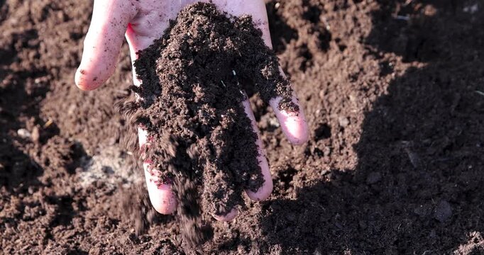 Loose brown peat on the garden plot, dry combustible peat lies in direct sunlight during spring field work