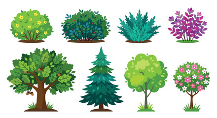 Variety Of Trees And Shrubs Colorful Vector Illustration © PROMA